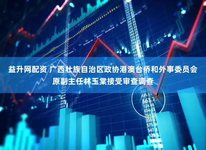 益升网配资 广西壮族自治区政协港澳台侨和外事委员会原副主任林玉棠接受审查调查