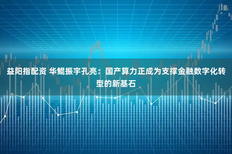 益阳指配资 华鲲振宇孔亮：国产算力正成为支撑金融数字化转型的新基石